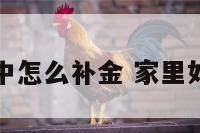 生活当中怎么补金 家里如何补金