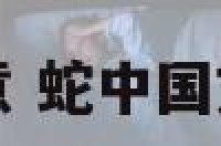 中国文化蛇寓意 蛇中国文化的象征意义