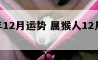 属猴今年12月运势 属猴人12月运势2020年