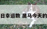 属马人今日幸运数 属马今天的幸运数字