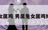 男属兔跟女属鸡 男属兔女属鸡婚配合适吗