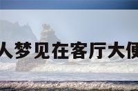 包含女人梦见在客厅大便的词条