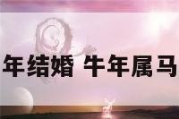 属牛的人马年结婚 牛年属马适合结婚吗