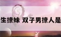 双子座男生撩妹 双子男撩人是真心的吗