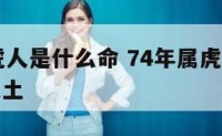 74年属虎人是什么命 74年属虎是什么命金木水火土