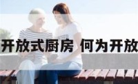 什么是开放式厨房 何为开放式厨房