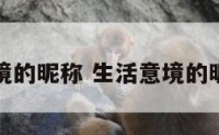 生活意境的昵称 生活意境的昵称女生