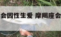 摩羯座会不会因性生爱 摩羯座会不会因性生爱而改变