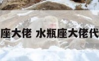 水瓶座大佬 水瓶座大佬代表人