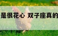 双子座是不是很花心 双子座真的花心不专一吗?