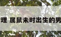 未月属鼠命理 属鼠未时出生的男孩怎么取名