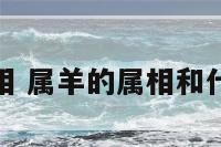 属羊的属相 属羊的属相和什么属相合