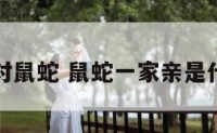 亲情配对鼠蛇 鼠蛇一家亲是什么意思