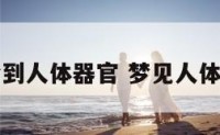 孕妇梦到人体器官 梦见人体的器官