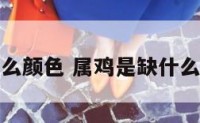 属鸡是缺什么颜色 属鸡是缺什么颜色的东西