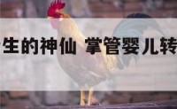 掌管婴儿转生的神仙 掌管婴儿转生的神仙有哪些