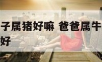 爸爸属牛孩子属猪好嘛 爸爸属牛妈妈属猪孩子属虎好不好