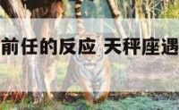 天秤座遇到前任的反应 天秤座遇到前任的反应有哪些
