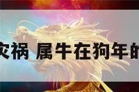 属牛狗年灾祸 属牛在狗年的运气如何