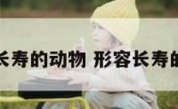 形容长寿的动物 形容长寿的东西