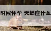 天蝎座什么时候怀孕 天蝎座什么时候怀孕最好