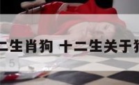 萌十二生肖狗 十二生关于狗生肖