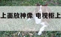 客厅电视机上面放神像 电视柜上可以摆放观音菩萨像