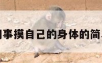 梦到同事摸自己的身体的简单介绍