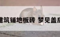 梦见在搞建筑铺地板砖 梦见盖房子铺地砖