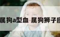 狮子座属狗a型血 属狗狮子座b型血