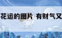 招财又招桃花运的图片 有财气又招桃花的头像