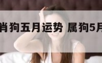 2019生肖狗五月运势 属狗5月运势2020