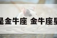 伟人谁是金牛座 金牛座星座名人