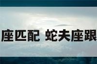 蛇白羊座匹配 蛇夫座跟白羊座