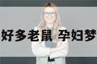 怀孕梦见厨房好多老鼠 孕妇梦见饭里有老鼠