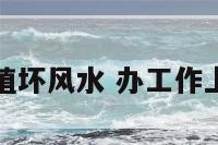 办工作放绿植坏风水 办工作上放鲜花好吗