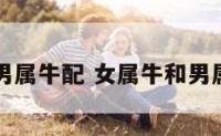 女属牛与男属牛配 女属牛和男属牛合适吗