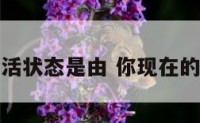 你今天的生活状态是由 你现在的生活状态是