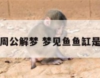 梦见鱼缸周公解梦 梦见鱼鱼缸是什么意思