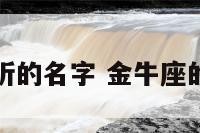 金牛座好听的名字 金牛座的霸气名字