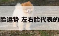 左右脸运势 左右脸代表的性格