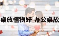 办公桌放植物好 办公桌放绿植