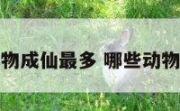 哪里动物成仙最多 哪些动物能成仙
