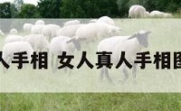 女人真人手相 女人真人手相图片大全