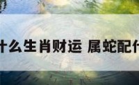 属蛇搭配什么生肖财运 属蛇配什么最合适