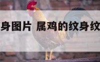 属鸡的人纹身图片 属鸡的纹身纹什么旺财图案