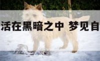 梦见自己生活在黑暗之中 梦见自己处在黑暗中