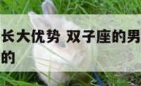 双子座男生长大优势 双子座的男生长大后是帅的还是丑的