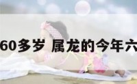 属龙60多岁 属龙的今年六十几