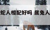 属兔人和属蛇人相配好吗 属兔人和属蛇人相配好吗女